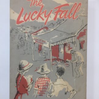 The Lucky Fall - Margaret Paice