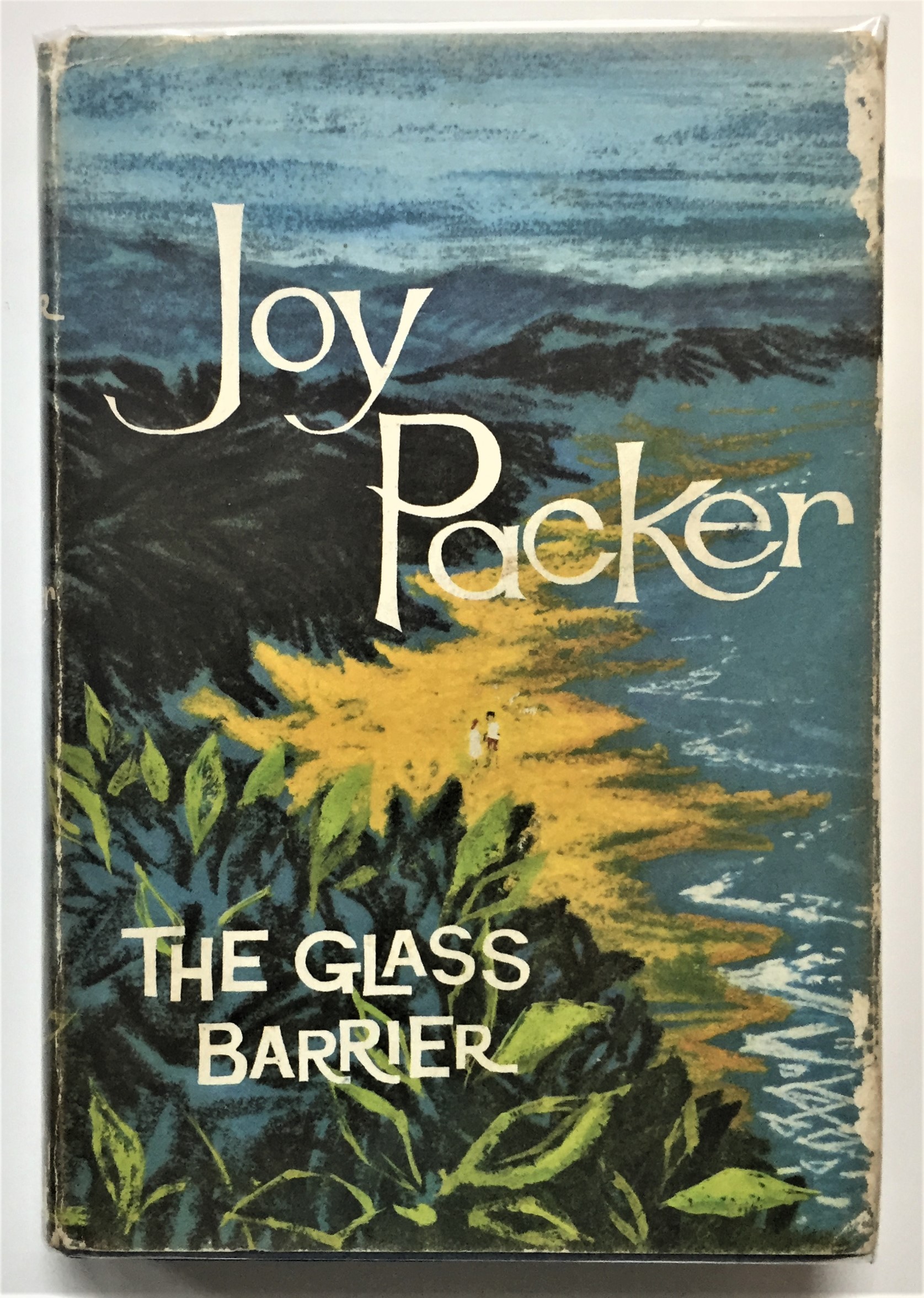 The Glass Barrier, by Joy Packer