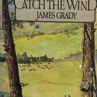 Catch the Wind, by James Grady
