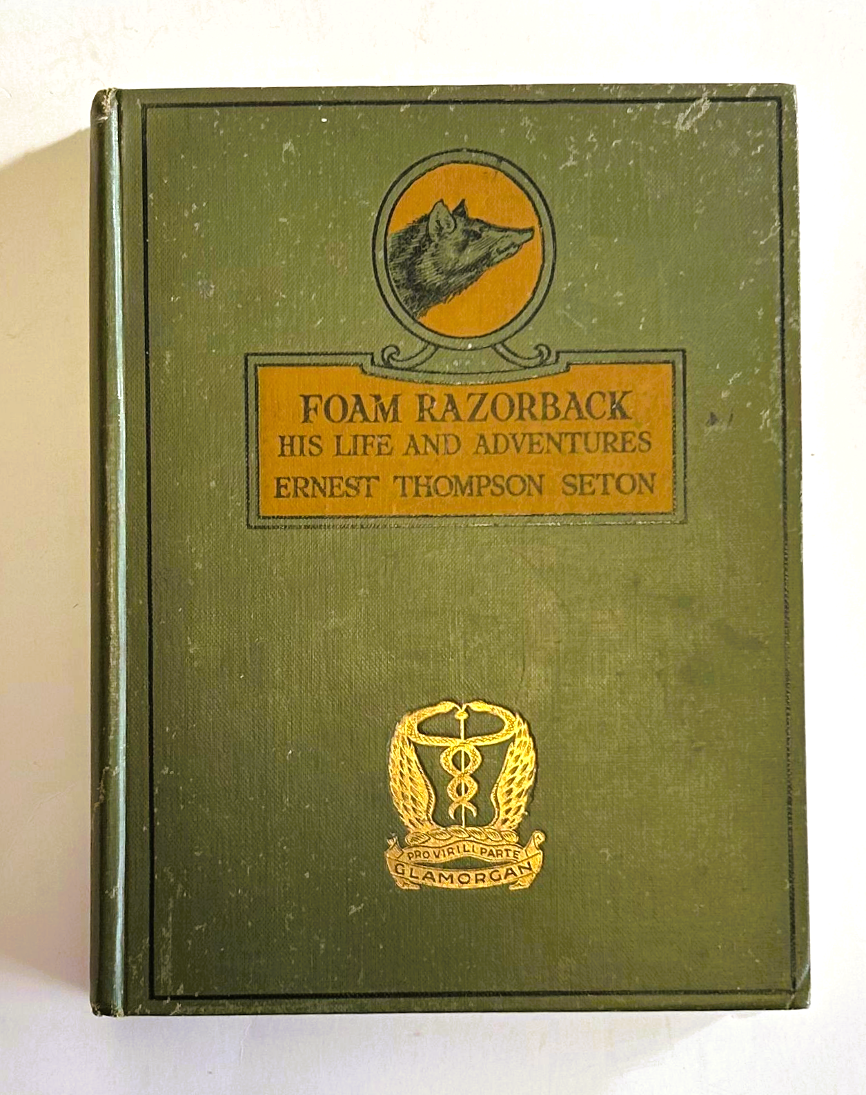 Foam Razorback - His Life and Adventures, by Ernest Thompson Seton