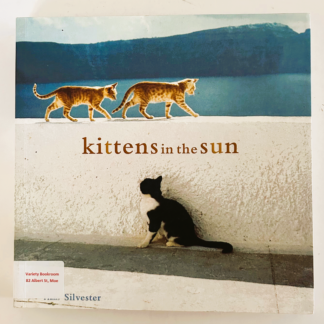 Kittens in the Sun, by Hans Silvester